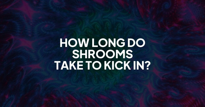 How long does it take for shrooms to kick in